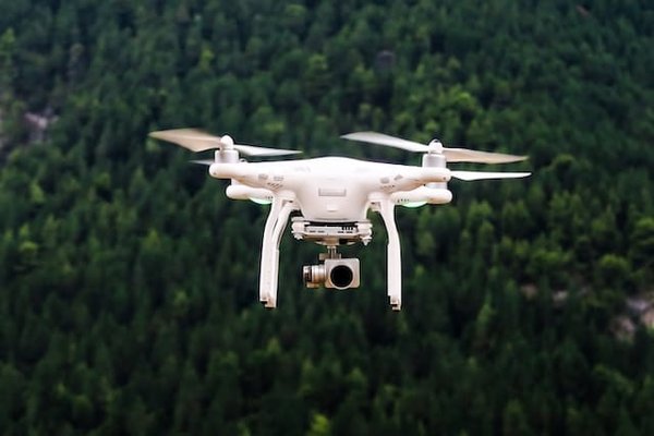 How Can Drones Be Used in Large-Scale Forest Reforestation?
